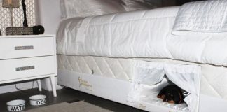 This Bed Has A Tiny Compartment For Your Pet So That You Can Sleep Together