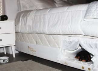 This Bed Has A Tiny Compartment For Your Pet So That You Can Sleep Together