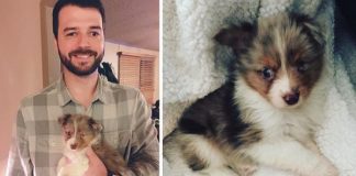 Guy With Vision In One Eye Adopts One-Eyed Dog No One Else Wanted