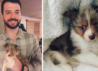 Guy With Vision In One Eye Adopts One-Eyed Dog No One Else Wanted