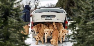 20 Glorious Photos that will put a Smile on your face