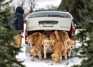 20 Glorious Photos that will put a Smile on your face