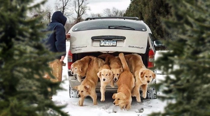 20 Glorious Photos that will put a Smile on your face