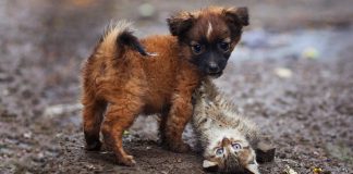 15 profoundly meaningful photos that will leave you in awe