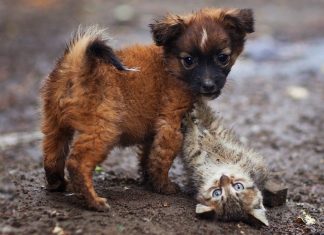 15 profoundly meaningful photos that will leave you in awe