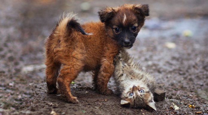 15 profoundly meaningful photos that will leave you in awe