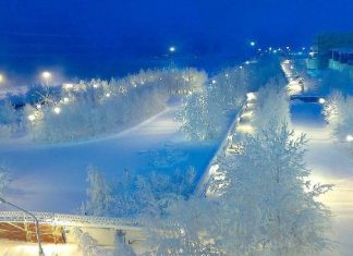 21 Images that Amazed the World last year