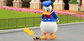 25 utterly fantastic shots taken at exactly the right moment