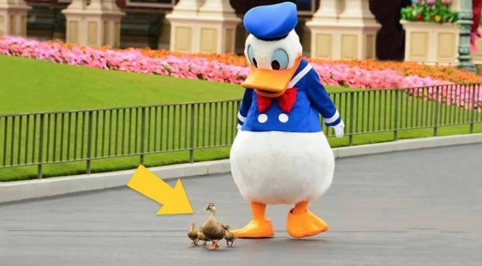 25 utterly fantastic shots taken at exactly the right moment