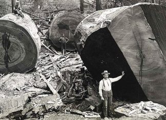 20 utterly fascinating Photos from the past