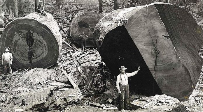 20 utterly fascinating Photos from the past