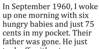 Husband Takes Off And Leaves Wife With Six Kids. Three Months Later, She Discovers THIS In The Family Car.