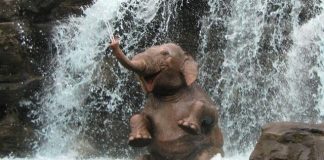 The World belongs to those who are Happy