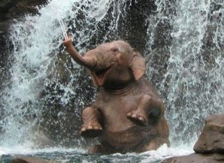 The World belongs to those who are Happy