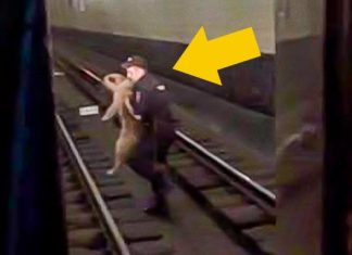 This little example of everyday human kindness will warm your heart