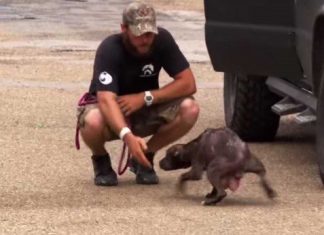 Burn Fat Like Crazy While You’re Sleeping With This Amazing Drink