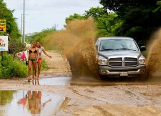 30 flawless Photos taken one second before the inevitable