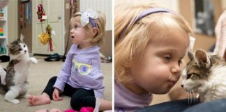 Toddler Who Lost Arm To Cancer Adopts Three-Legged Kitten To Help Recovery