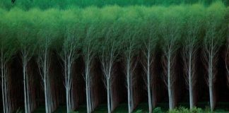 25 Pictures to prove that man is a grain of sand in this world