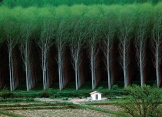 25 Pictures to prove that man is a grain of sand in this world