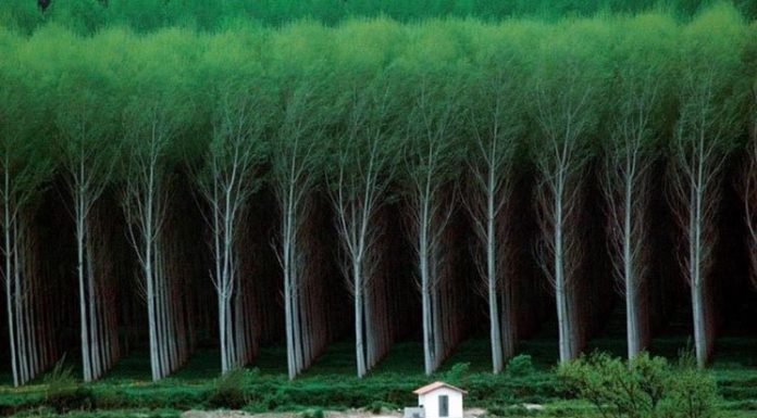 25 Pictures to prove that man is a grain of sand in this world