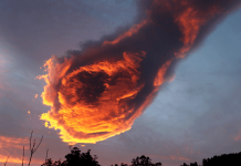 Stunning Cloud Formation Appears Above Portugal, People Call It “The Hand Of God”