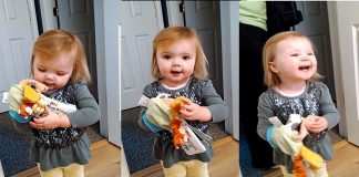 Daddy Asked Her To Sing Old MacDonald, And She Gave Him A Version He Will Never Forget