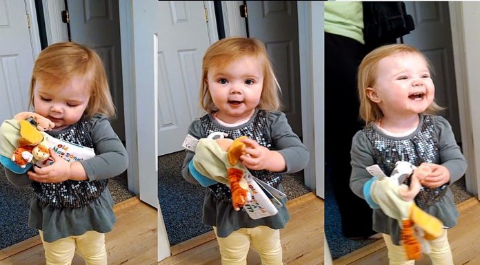 Daddy Asked Her To Sing Old MacDonald, And She Gave Him A Version He Will Never Forget