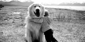 23 incredibly heart-warming photographs that prove love is all around