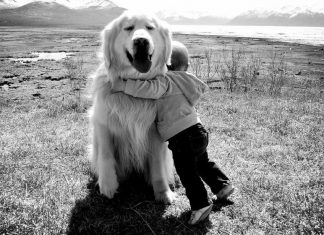 23 incredibly heart-warming photographs that prove love is all around