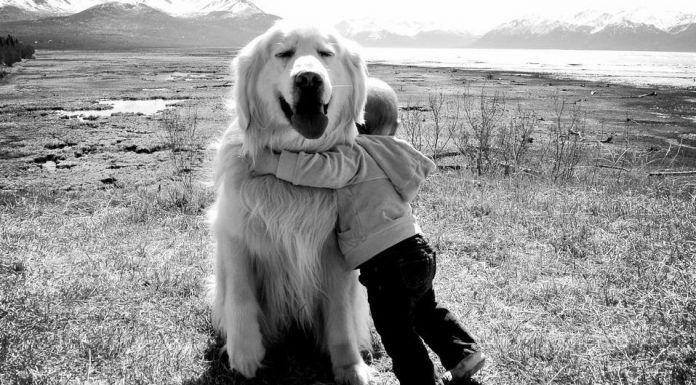 23 incredibly heart-warming photographs that prove love is all around