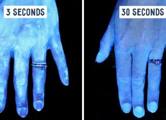 20 amazing things you never learned at school