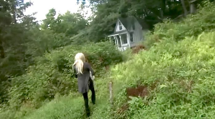 Her Husband Buys A Plot Of Land, Then She Finds A Tiny Cabin On The Property…