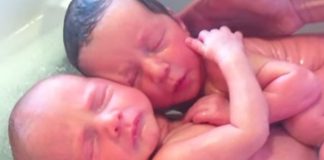 These twins don’t know that they’ve been born