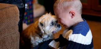 25 Photos Which Show Why Every Child Should Have A Pet. #10 Is My Favorite!