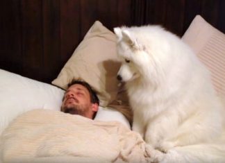 Lexi Wants To Walk, But Dad Won’t Get Up. Her Next Move Has Mom In Giggles