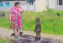 18 photos proving that kids always know how to make you smile