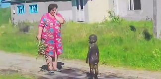 18 photos proving that kids always know how to make you smile