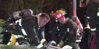 Man Sees Firefighters On His Front Lawn. But Then He Notices What’s Next To Them…