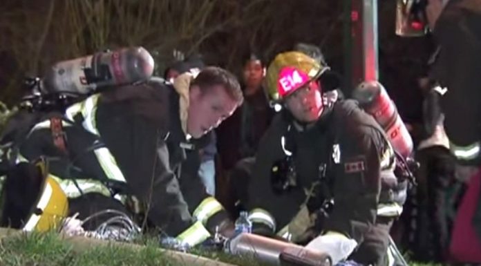 Man Sees Firefighters On His Front Lawn. But Then He Notices What’s Next To Them…