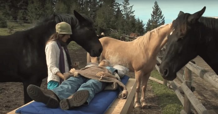 If You Don’t Already Love Horses, You Will After You See This