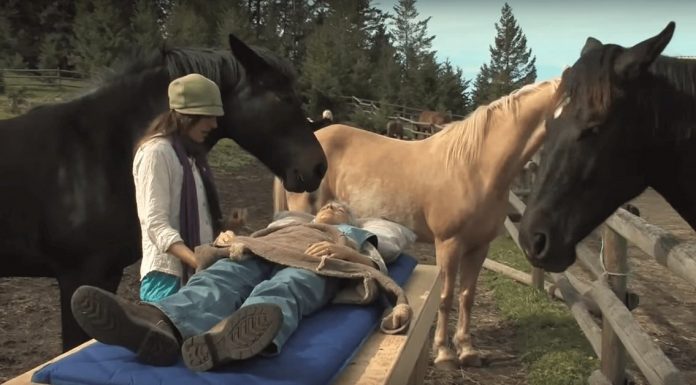 If You Don’t Already Love Horses, You Will After You See This