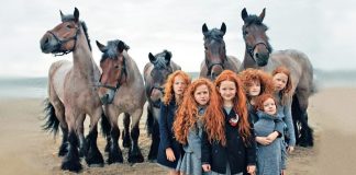 Here’s why you definitely need to visit Ireland