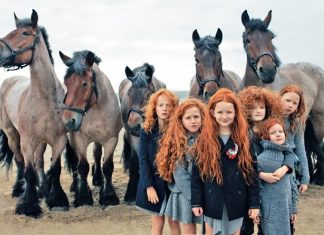 Here’s why you definitely need to visit Ireland