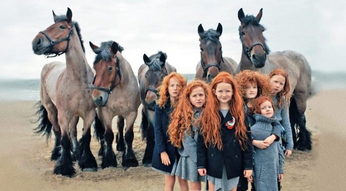 Here’s why you definitely need to visit Ireland