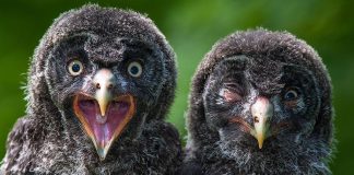 The 20 most perfectly-timed photos you’ve ever seen The 20 most perfectly-timed photos you’ve ever seen