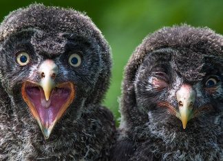 The 20 most perfectly-timed photos you’ve ever seen The 20 most perfectly-timed photos you’ve ever seen