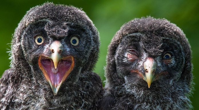 The 20 most perfectly-timed photos you’ve ever seen The 20 most perfectly-timed photos you’ve ever seen