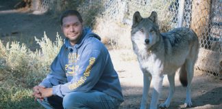 This War Veteran Suffers From PTSD. Now Keep Your Eyes Open At What That Wolf Does! OMG!