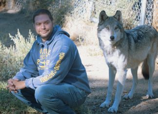 This War Veteran Suffers From PTSD. Now Keep Your Eyes Open At What That Wolf Does! OMG!